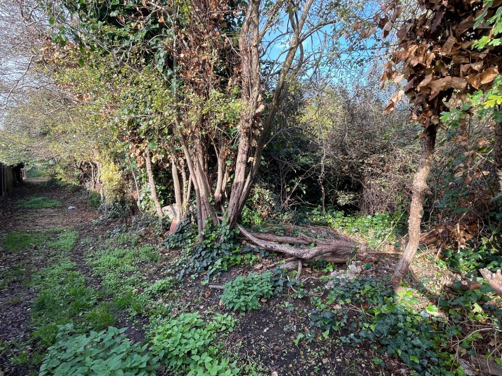 Lot: 114 - OVERGROWN PARCEL OF LAND IN RESIDENTIAL AREA - Overgrow parcel of freehold land in Romford and pathway